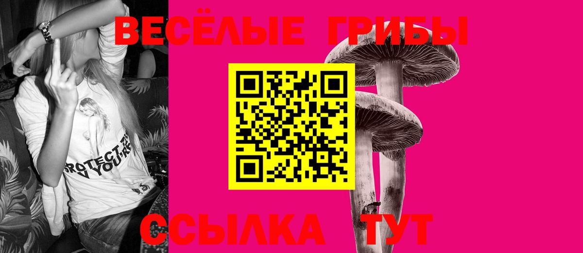 Псилоцибиновые грибы MAGIC MUSHROOMS Минусинск